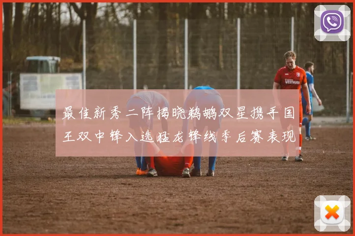 最佳新秀二阵揭晓鹈鹕双星携手国王双中锋入选猛龙锋线季后赛表现抢眼
