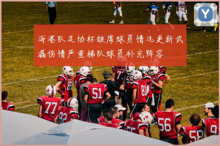 海港队足协杯缺席球员情况更新武磊伤情严重梯队球员补充阵容